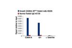 11958S | PhosphoPlus ® Smad2 (Ser465/467) Antibody Duet 