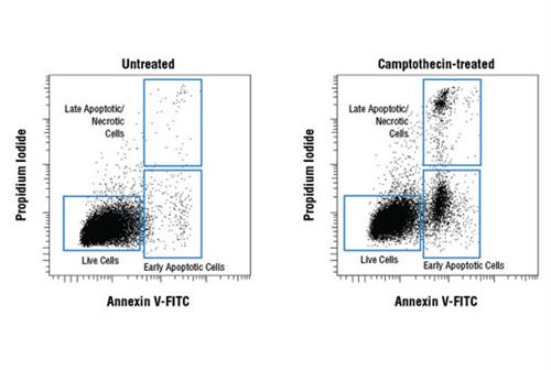 6592S | Annexin V-FITC Early Apoptosis Detection Kit