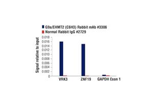8694T | Lysine Methyltransferase Antibody Sampler Kit