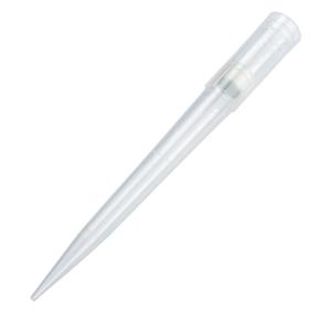 229021 | 1000 L Low Retention Filter Pipette Tips Racked St