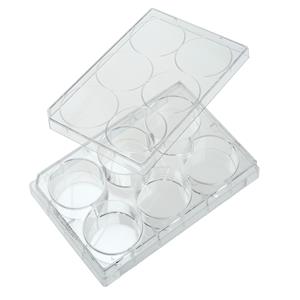 229105 | 6 Well Tissue Culture Plate with Lid Individual St