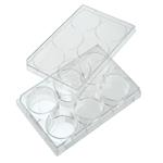 229105 | 6 Well Tissue Culture Plate with Lid Individual St