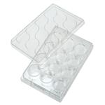 229111 | 12 Well Tissue Culture Plate with Lid Individual S