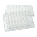 229147 | 48 Well Tissue Culture Plate with Lid Individual S