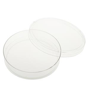 229621 | 100mm x 20mm Tissue Culture Treated Dish Sterile