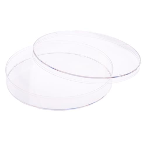 229650 | 150mm x 20mm Tissue Culture Treated Dish Sterile