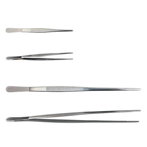 CG-1650-15 | Stainless Steel Forceps/Tweezers, Specimen, Straight, 6", Serrated Tip