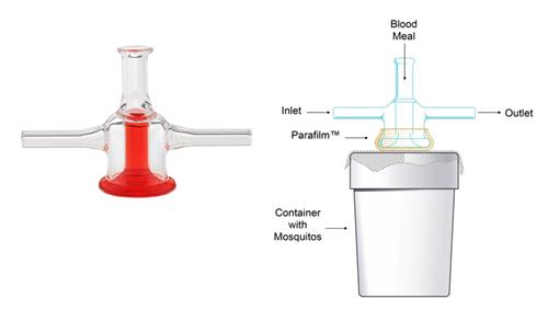 CG-1835-70 | Glass Mosquito Feeder Small 14mm Dia.