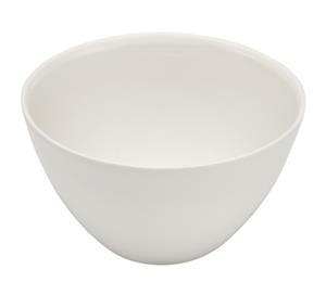 CG-1883-05 | Crucible 100mL Low Form Porcelain