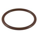 CG-305-009 | O-Ring, Viton, #009