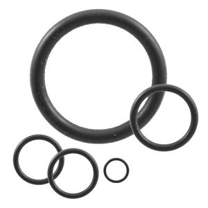 CG-308K-116 | O-Ring, Kalrez 4079, #116