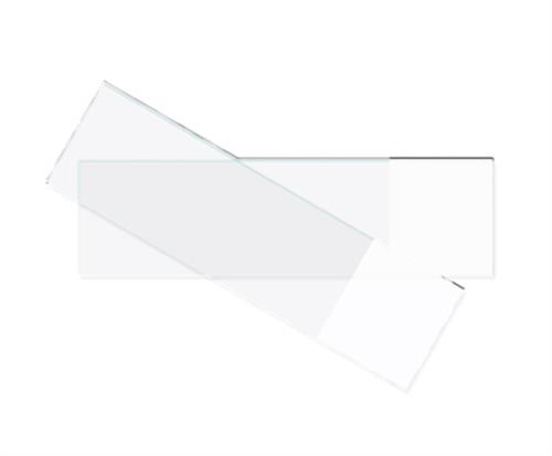 CG-8982-02 | Microscope Slide Frosted One