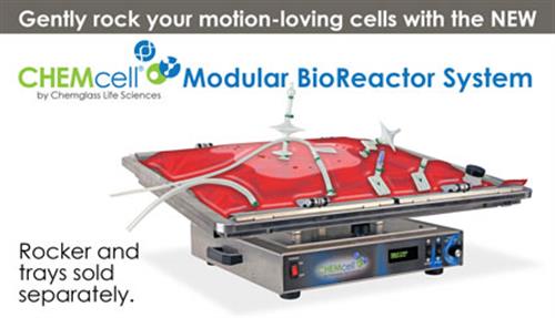 CLS-1439-10 | Gas Flow Meter Low Flow Rate