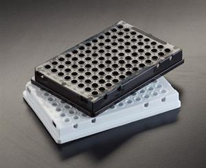 CLS-3614-04W | PCR Plate White Opaque