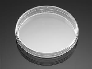 351029 | Falcon® 100 mm x 15 mm Not TC-treated Bacteriological Petri Dish, 20/Pack, 500/Case, Sterile