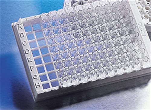 2572 | Corning® 96-well Stripwell™ Egg Crate Strip Holder