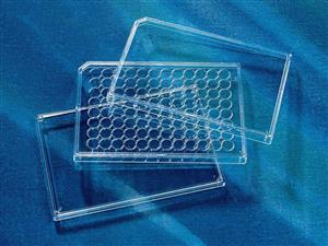 3098 | Corning® Polystyrene Universal Microplate Lid without Corner Notch, Sterile