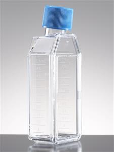 353808 | Corning® Primaria™ 25cm² Rectangular Canted Neck Cell Culture Flask with Vented Cap
