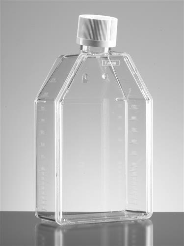 353133 | Falcon® 75cm² Rectangular Canted Neck Cell Culture Flask with Plug Seal Cap