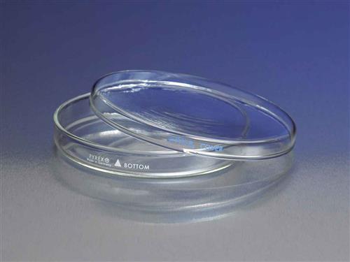 3160-100 | PYREX 100x10mm Petri Dish with Cover