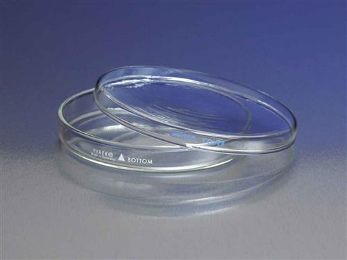 3160-100CO | PYREX® 100x10 mm Petri Dish Cover Only