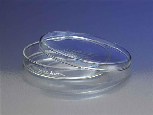 3160-101BO | PYREX® 100x15 mm Petri Dish Bottom Only