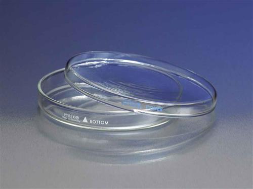 3160-102BO | PYREX® 100x20 mm Petri Dish Bottom Only