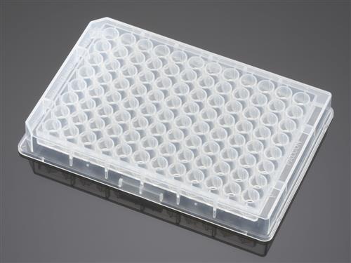 353263 | Falcon® 96-well Clear V-Bottom Not Treated Polypropylene Storage Microplate, 25/Pack, 100/Case