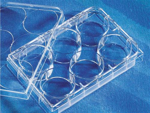3335 | Corning® CellBIND® 6-well Clear Multiple Well Plates, Flat Bottom, with Lid, Sterile