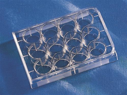 3336 | Corning® CellBIND® 12-well Clear Multiple Well Plates, Flat Bottom, with Lid, Sterile