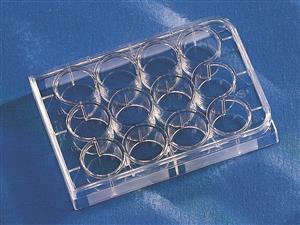 3336 | Corning® CellBIND® 12-well Clear Multiple Well Plates, Flat Bottom, with Lid, Sterile