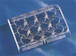 3336 | Corning® CellBIND® 12-well Clear Multiple Well Plates, Flat Bottom, with Lid, Sterile