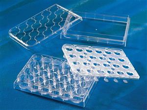 3379 | HTS Transwell®-24-well Permeable Support with 0.4 µm Pore Polyester Membrane and 6.5 mm Inserts