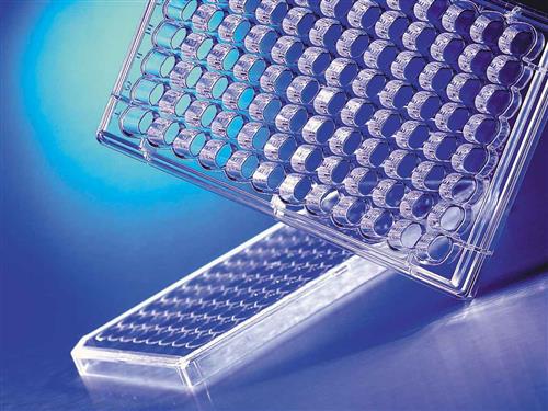 3382 | HTS Transwell®-96 Receiver Plate, Clear, Sterile