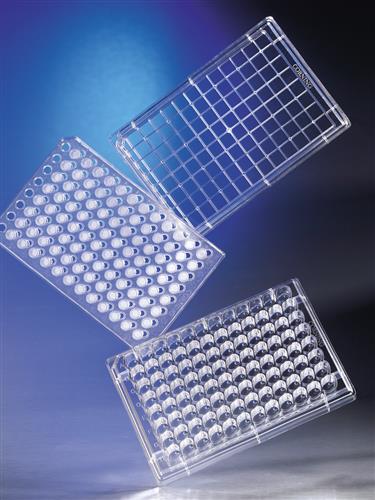 3391 | HTS Transwell®-96 Permeable Support with 0.4 µm Pore Polycarbonate Membrane, 5 per Case, Sterile