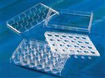 3396 | HTS Transwell®-24w Permeable Support,0.4 µm Pore Polycarbonate Membrane,6.5 mm Inserts, Sterile