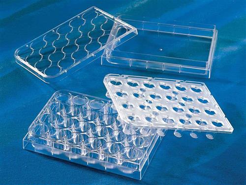 3398 | HTS Transwell®-24w Permeable Support,3.0 µm Pore Polycarbonate Membrane,6.5 mm Inserts, Sterile