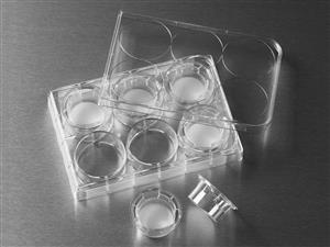 3414 | 24 mm Transwell® with 3.0 µm Pore Polycarbonate Membrane Insert, Sterile