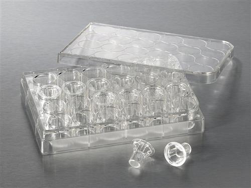 3415 | 6.5 mm Transwell® with 3.0 µm Pore Polycarbonate Membrane Insert, Sterile