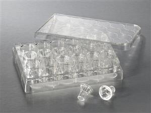 3421 | 6.5 mm Transwell® with 5.0 µm Pore Polycarbonate Membrane Insert, Sterile