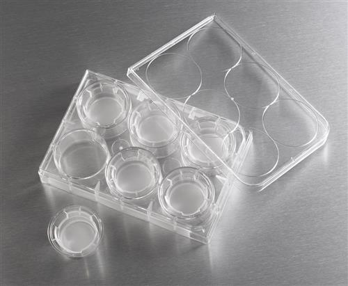 3452 | 24 mm Transwell® with 3 µm Pore Polyester Membrane Insert, Sterile