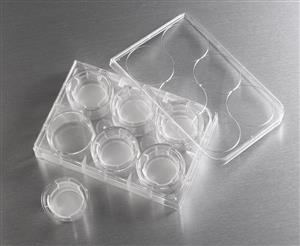 3452 | 24 mm Transwell® with 3 µm Pore Polyester Membrane Insert, Sterile