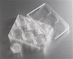 3452 | 24 mm Transwell® with 3 µm Pore Polyester Membrane Insert, Sterile