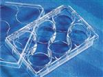 3471 | Costar® 6w Clear Flat Bottom Ultra-Low Attachment Multiple Well Plates, Indly Wrapped, Sterile