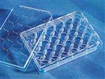 3473 | Costar® 24w Clear Flat Bottom Ultra-Low Attachment Multiple Well Plates, Indly Wrapped, Sterile
