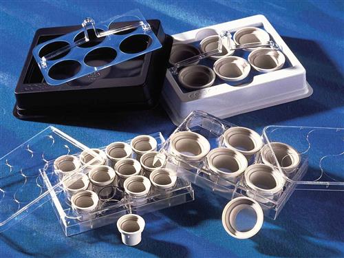 3478 | 15 mm Netwell™ Insert with 440 µm Mesh Size Polyester Membrane, Sterile