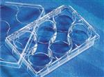 3506 | Costar 6 Well Clear Tissue Culture Treated Multipl