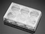 351146 | Falcon® 6w Clear Flat Bottom Not Treated Cell Multiwell Cult Plate,,Lid, Sterile, 1/Pack,50/CS