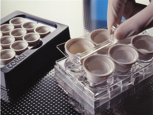 3521 | Netwell™ 6-well Carrier Kit for 24 mm Inserts, Nonsterile