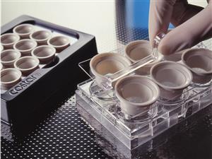 3521 | Netwell™ 6-well Carrier Kit for 24 mm Inserts, Nonsterile